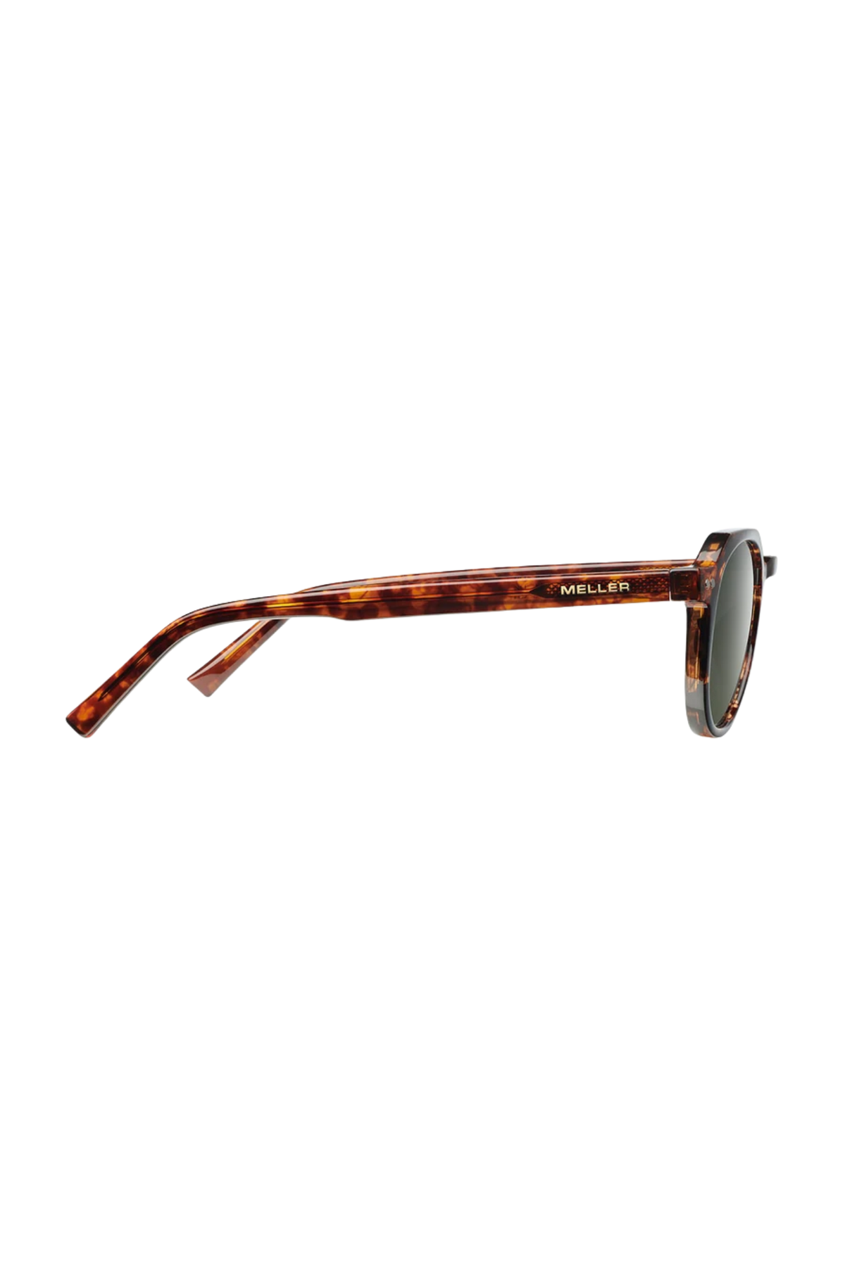 CHAUEN TIGRIS OLIVE - MELLER